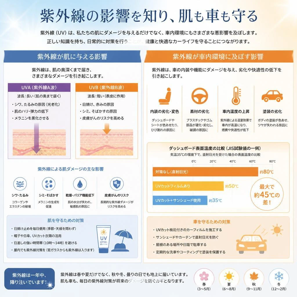 2. 紫外線の危険性